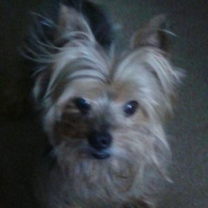 Meet your Posher, Sandra k